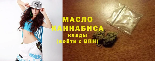 шишки Новозыбков