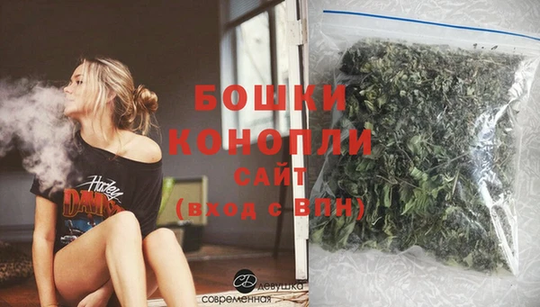 шишки Новозыбков